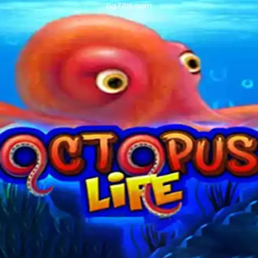 Exploring OctopusLife: A Deep Dive into the Latest Online Gaming Sensation